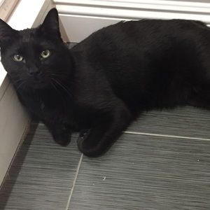 Meet your Posher, Aaron